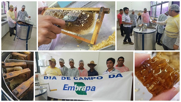 RM - Uniformes, 31 anos. Empresa com mais de 30 anos de mercado, atuando na  área de confecções de uniformes em Cuiabá, Mato Grosso, Brasil.