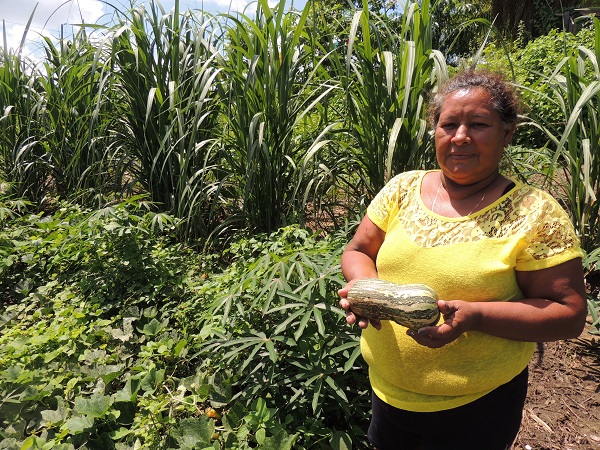 Aceita que dói menos: Trindade já era em Pantanal, mas peão vira