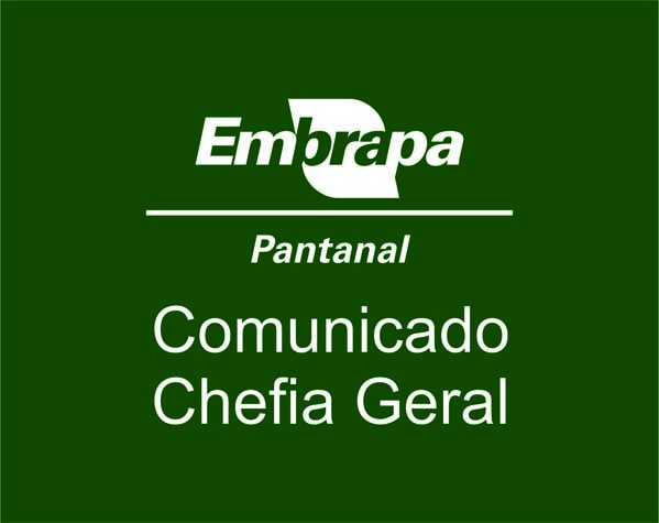 Chico Teixeira é tragado pela força de Pantanal: 'Encontro com